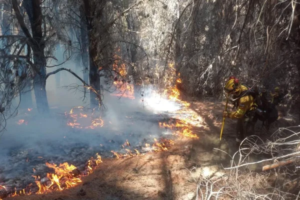 Incendios en Chubut: aguardan a las lluvias para sofocar las llamas