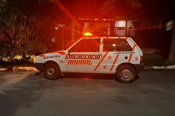 Emergencia Animal pide colaboración económica