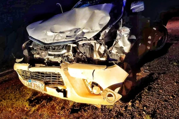 Una camioneta colisionó con un vacuno en Miranda