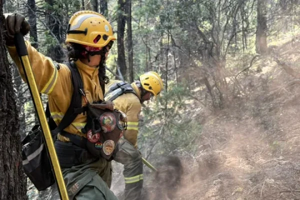 Investigan la posible responsabilidad penal de funcionarios por el incendio en Los Alerces