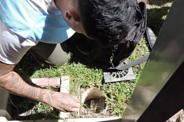 Dengue en Córdoba: un monitoreo arrojó un alto riesgo de transmisión