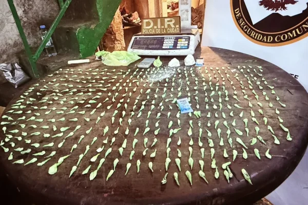 Constitución: detienen a una mujer en silla de ruedas con cocaína en un kiosco