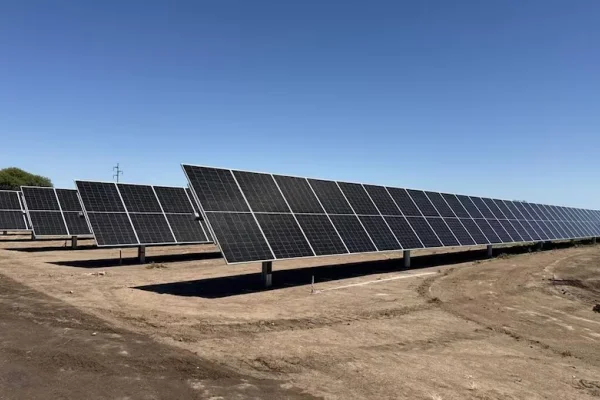 Energía solar: Grupo Dinosaurio profundiza vínculos con China