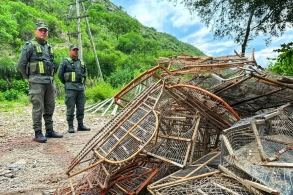 Chilecito: Recuperaron una gran cantidad de aves que estaban en cautiverio