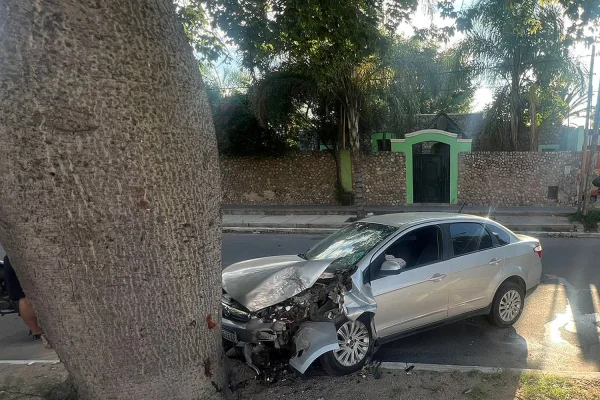 Perdió el control de su auto y se estrelló contra un árbol
