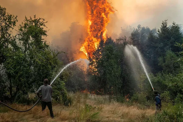 Patagonia en llamas: más de 45.000 hectáreas afectadas por los incendios
