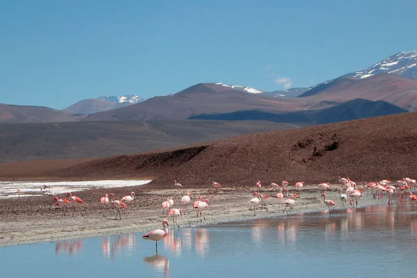 Día Mundial de los Humedales: por qué importan y cómo cuidarlos