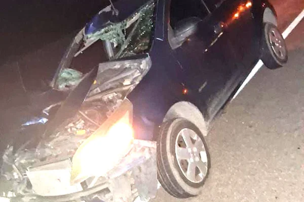 Una mujer perdió la vida tras impactar con un caballo en Ruta N° 60