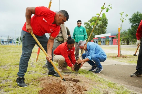 El municipio realizó nueva etapa de arbolado