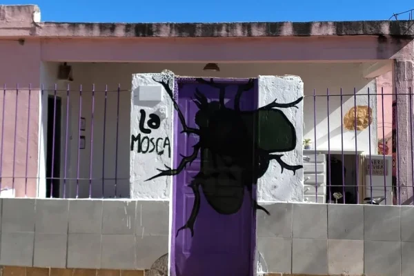 Dictarán un taller sobre “cine sin cámara” en “La Mosca”