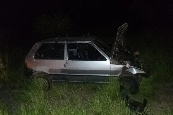 Siniestro vial: un automóvil impactó contra animales caprinos en Chañar