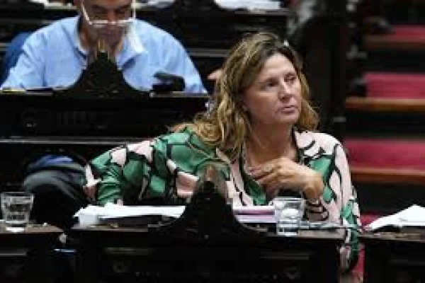 Pedrali: “Bajar la edad de imputabilidad no resuelve la inseguridad”