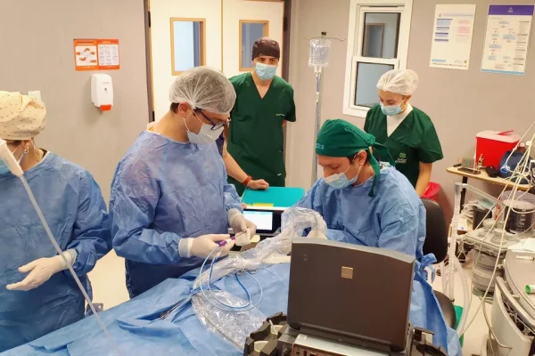 Se realizó en Argentina la primera ablación por microondas de tiroides