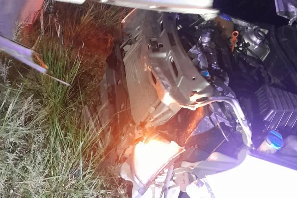Dos hombre ilesos luego de chocar con su auto a tres cabras sueltas en la ruta