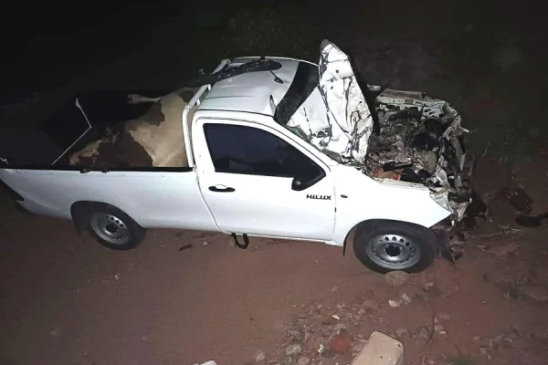 Chocaron una vaca y terminó en la caja