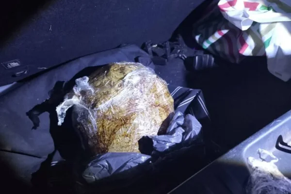 Más de 100 semillas de cannabis fueron incautadas en La Rioja
