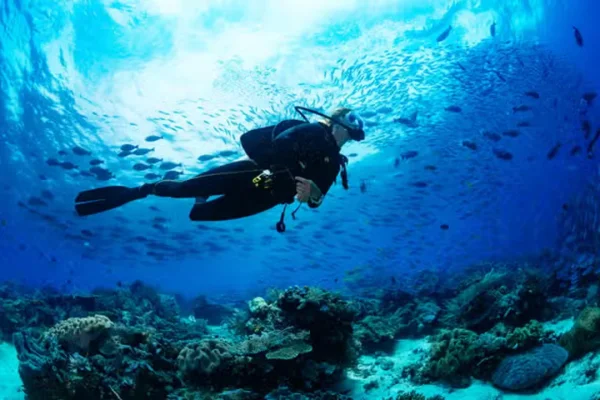 Puerto Madryn: buscan a una joven turista que practicaba buceo y desapareció
