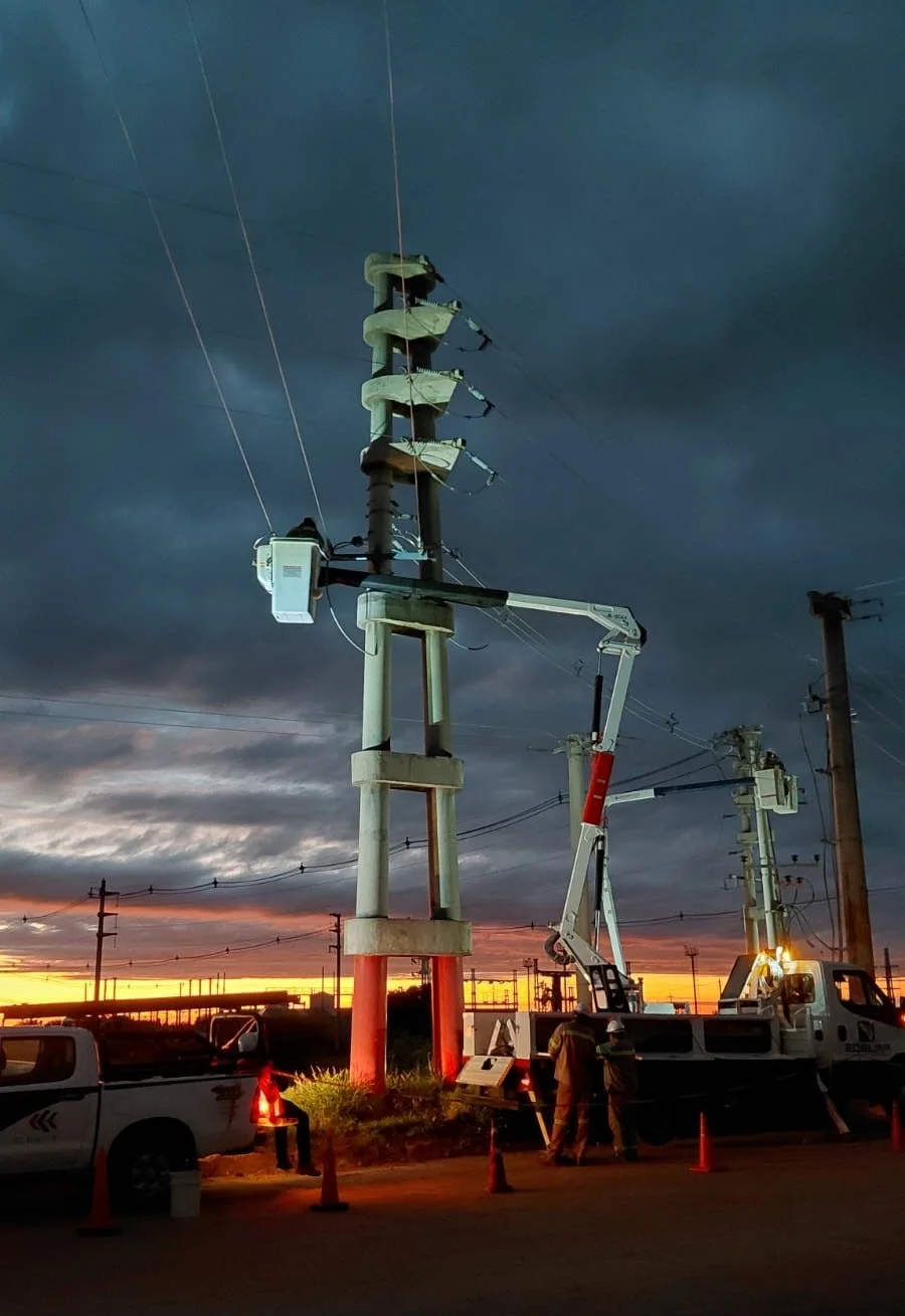 Edelar. Naci&oacute; en la d&eacute;cada del '90, a partir del proceso de reforma del sector el&eacute;ctrico nacional, al cual la provincia de La Rioja se sum&oacute; a comienzos de 1995.