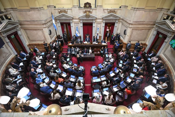 El Senado trata le reforma laboral y la ley penal juvenil