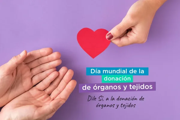Día mundial del Trasplante de Órganos: más de 7000 argentinos los están esperando