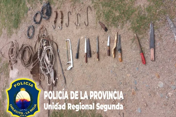 La Policía detuvo a un sujeto por abigeato y secuestró elementos