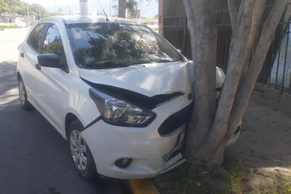 Dejó sin freno de mano su auto, se fue a dormir y el rodado se estrelló contra un árbol