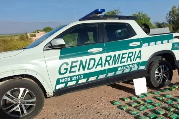 Incautan sustancias y un importante cargamento de hojas de coca