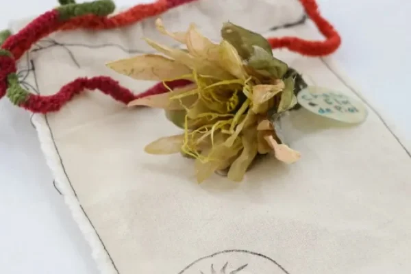 Invitan a muestra de la chaya