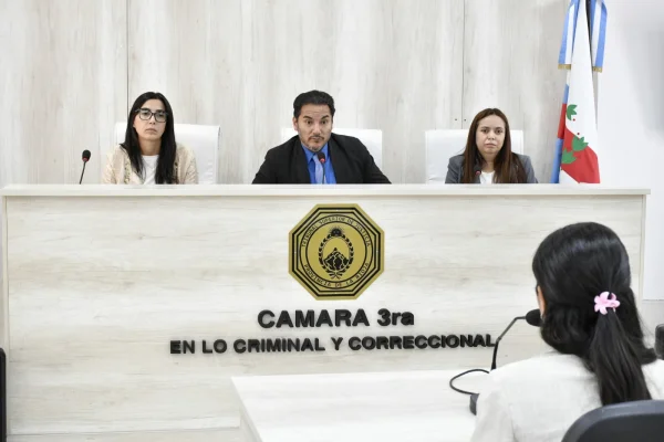 Abuso infantil: profesionales aportaron testimonios clave