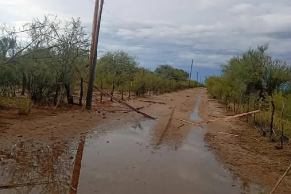 Barrios de la Capital y zonas rurales siguen sin energía