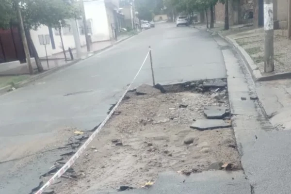 Temporal en Chilecito dejó avenidas anegadas árboles caídos y calles dañadas