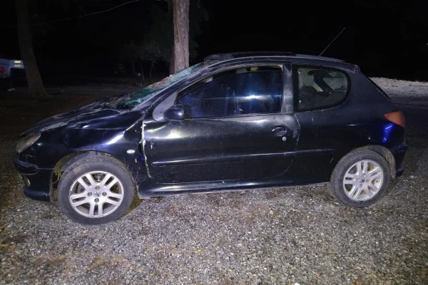Dos choques contra animales sueltos en una misma noche