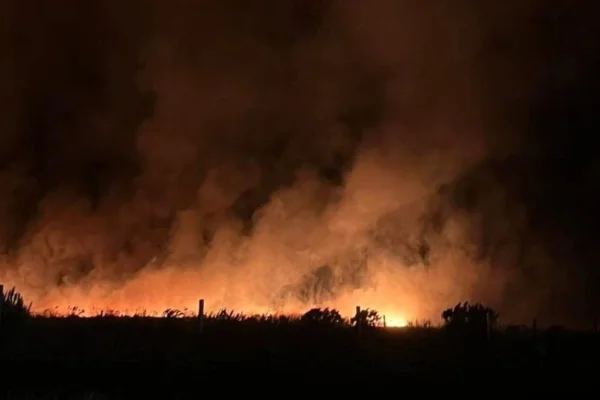 Incendios en Mar del Plata: se quemaron más de 200 hectáreas y crece la hipótesis de que fue intencional