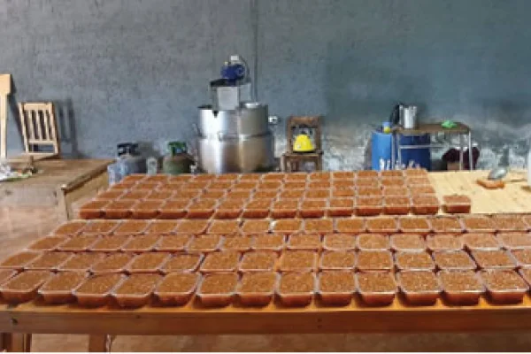 Promueven la elaboración de dulces caseros