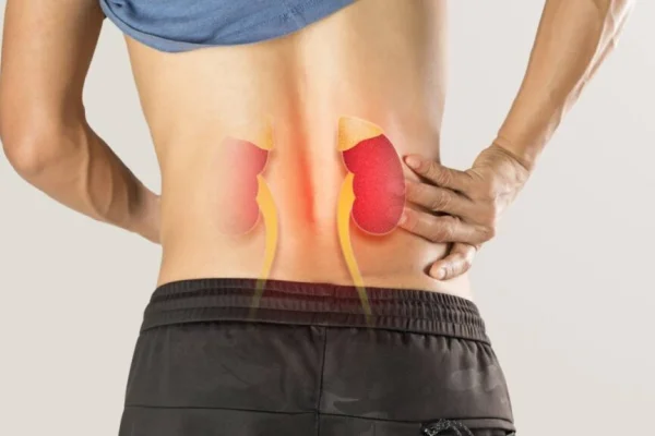 Día Mundial del Riñón: la importancia de prevenir y detectar a tiempo la enfermedad renal