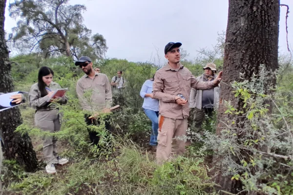 Técnicos se capacitaron en inventario forestal para proyectos de conservación en La Rioja