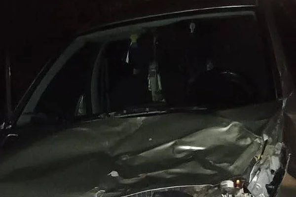 Chocó contra un caballo suelto en la ruta y resultó ileso