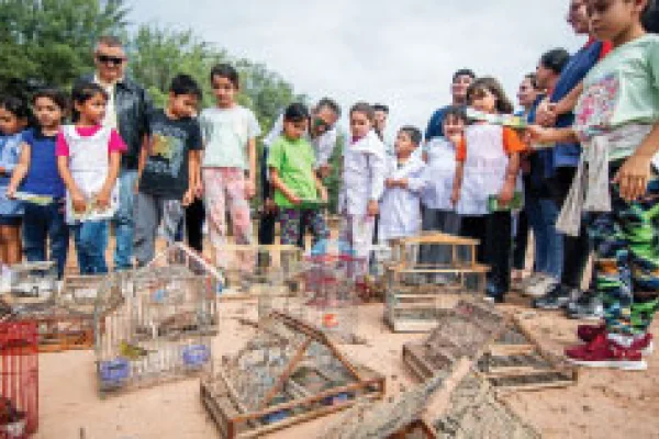 Una escuela rural liberó aves rescatadas de un cautiverio