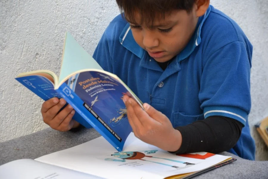 Ministerio de Educaci&oacute;n de La Rioja. Llev&oacute; adelante una estrategia de evaluaci&oacute;n formativa de la alfabetizaci&oacute;n inicial.