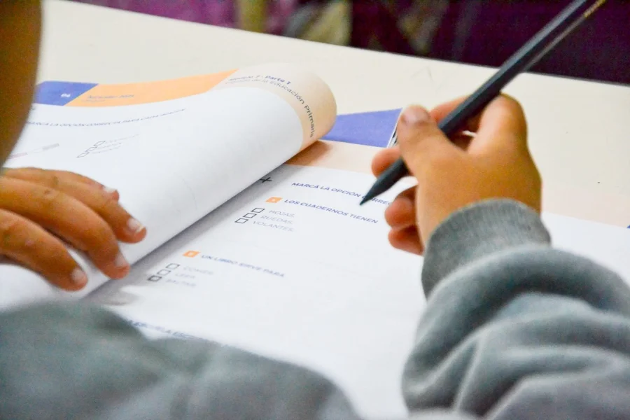 Detalles Se trat&oacute; de una evaluaci&oacute;n de comprensi&oacute;n lectora dise&ntilde;ada y promovida por el Ministerio de Educaci&oacute;n provincial.