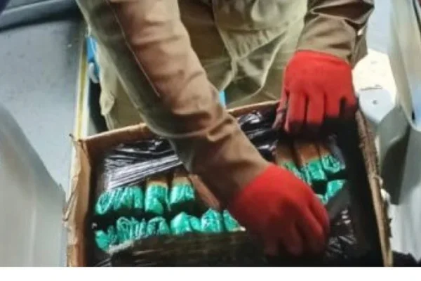 Secuestraron hojas de coca y fauna silvestre en un operativo en Talamuyuna