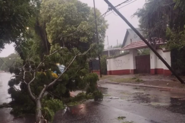 40.000 hogares quedaron sin electricidad luego del temporal en CABA y alrededores