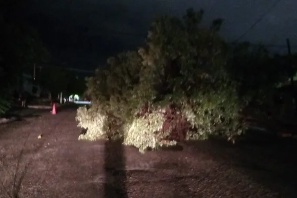 Fuerte tormenta en Capital, caída de postes, rescates y calles afectadas