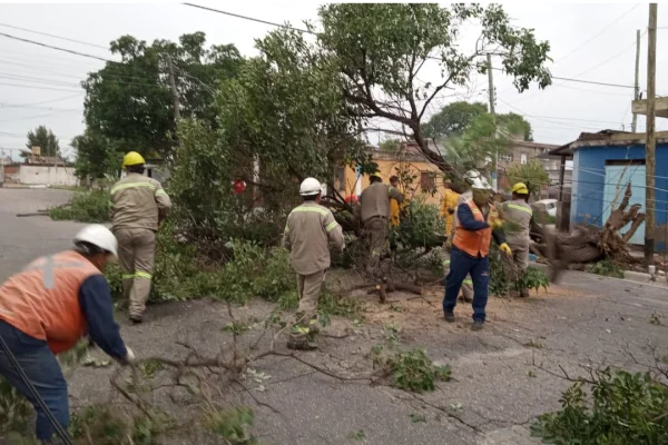 Cortes de luz en La Rioja tras el temporal, barrios afectados y operativo de Edelar