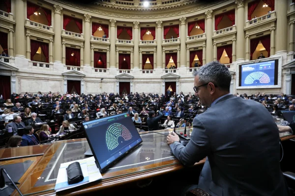 Diputados: piden explicaciones al Gobierno por el aumento en la tasa de suicidios