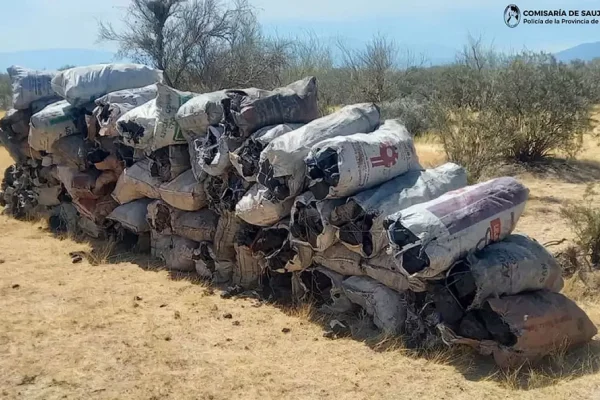 Secuestran cuatro toneladas de carbón en un camión de La Rioja