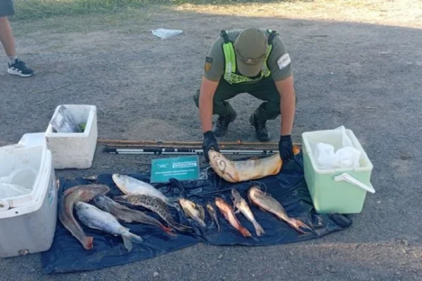 Operativos en rutas de Córdoba y La Rioja permitieron rescatar fauna y frenar pesca ilegal