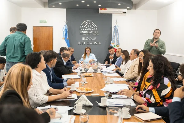 Tere Madera presidió una nueva sesión del 