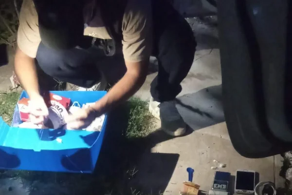 Cuatro detenidos y un invernadero desarticulado