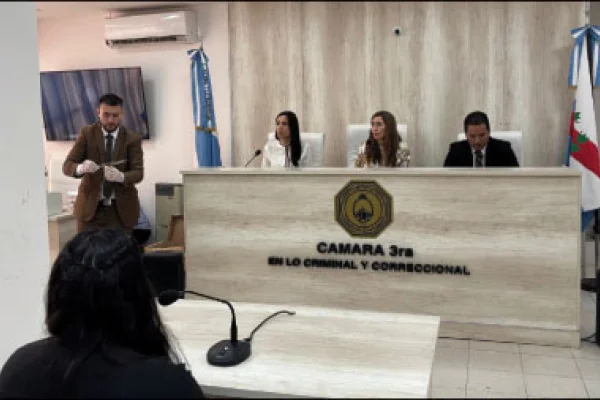 Femicidio de Susana Romero: más testimonios ante los jueces